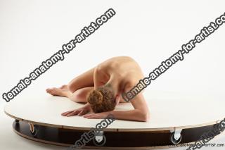 Various reference of Irma